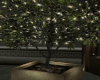 Planter Tree Lights