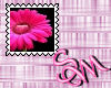 Pink Flower stamp