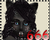 (666) Evil black kitty