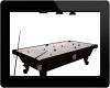Pool Table Game/Poses*