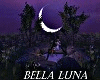Bella Luna Decorado