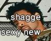 shagge sexy new