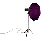 Purple Studio Light w/Tr