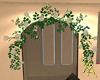 Chr Climb Ros Wall ArchW