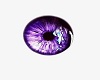 MI Shiny Purple Eyes