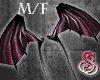 Dragon Wings Pink M/F