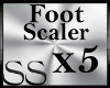 *SS Foot Scaler X5