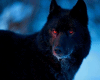 6v3| Alpha Wolf 🐺