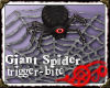*Jo* Giant Spider Web