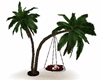 [HB] Palms with Swing