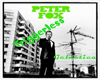 [G]Peter Fox Haus am See