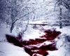 blood in snow