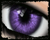 [ZX]Retina Purple