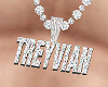 Treyvian Custom