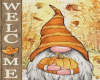 Welcome Gnome Wall