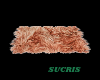 BROWN  RUG