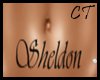 Sheldon Tummy Tatt