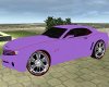 Purple Camaro