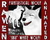 SIKU the WHITE WOLF!