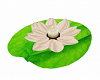 Lilly Pad w/Candle
