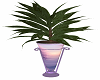 Lilac Plant 1