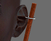 🅰 Cinnamon Ear R