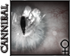 Crystal Cat's Eye