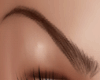.HF.BROWN DIVAH BROWS