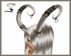 Z Smoked Horns V1F