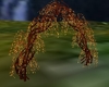 LovelyArchway