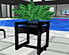 Table with Green Plant