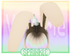 V~Sprinkle Ears 2*