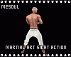 Martial Art Silat Action