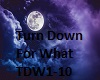 TDW1-10 TURN DOWN WHAT