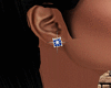Silver-Blue Earrings