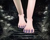 Paw -Sakura Crystal