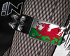 !N│ Wales