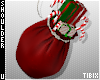Santa Bag