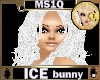 [MS1Q]ICE