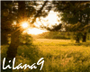 *LL* Spring background2
