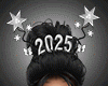 !! 2025 Silver Tiara