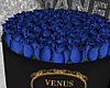 Cobalt Roses