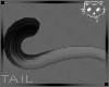 Tail GreyBlack 19a Ⓚ