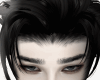 l Dark