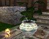 1616    Potted Fern