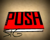 Push (book)
