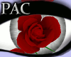 *PAC* Heart of Roses Red