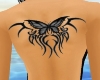 Tattoo Butterfly BlackHB
