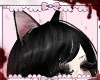 ♡ more kitty ears ♡