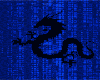 Matrix Dragon Wall
